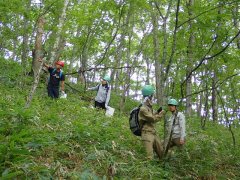 2日目_二次林の植生調査3